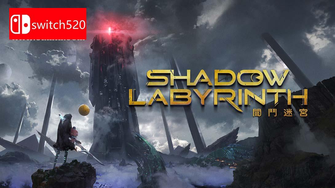 NS【港版】暗斗迷宫 .Shadow Labyrinth 中文