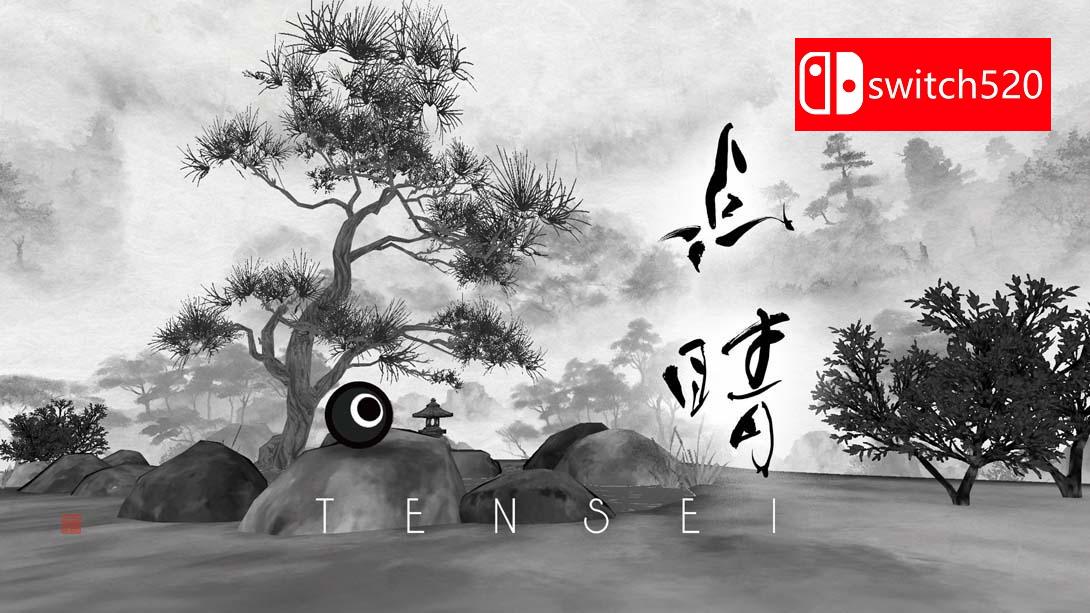 NS【美版】点睛 .TENSEI 中文